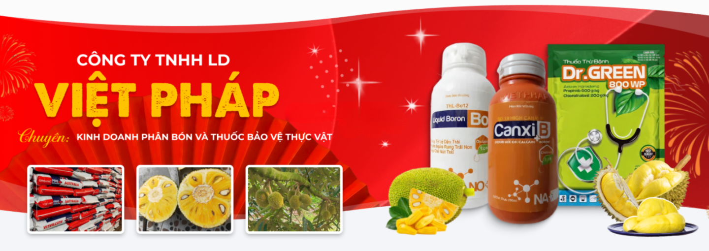 CÔNG TY TNHH LD VIỆT PHÁP