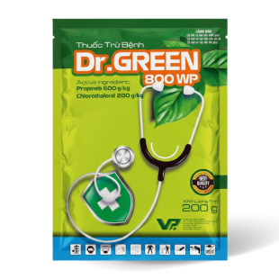 drgreen-800-wp