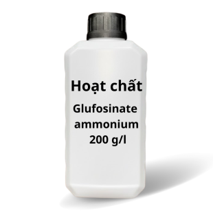 hoat-chat-05