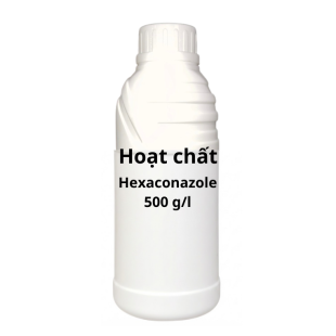 hoat-chat-06